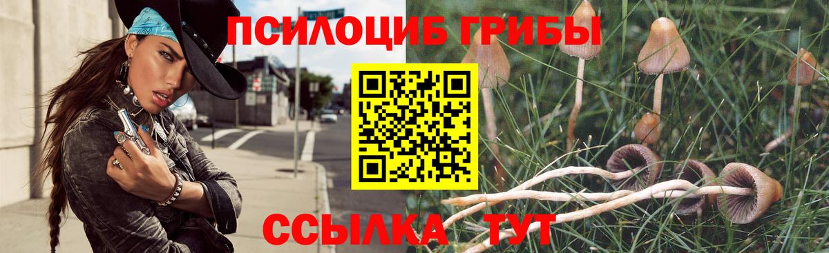 Галлюциногенные грибы прущие грибы Верхняя Пышма